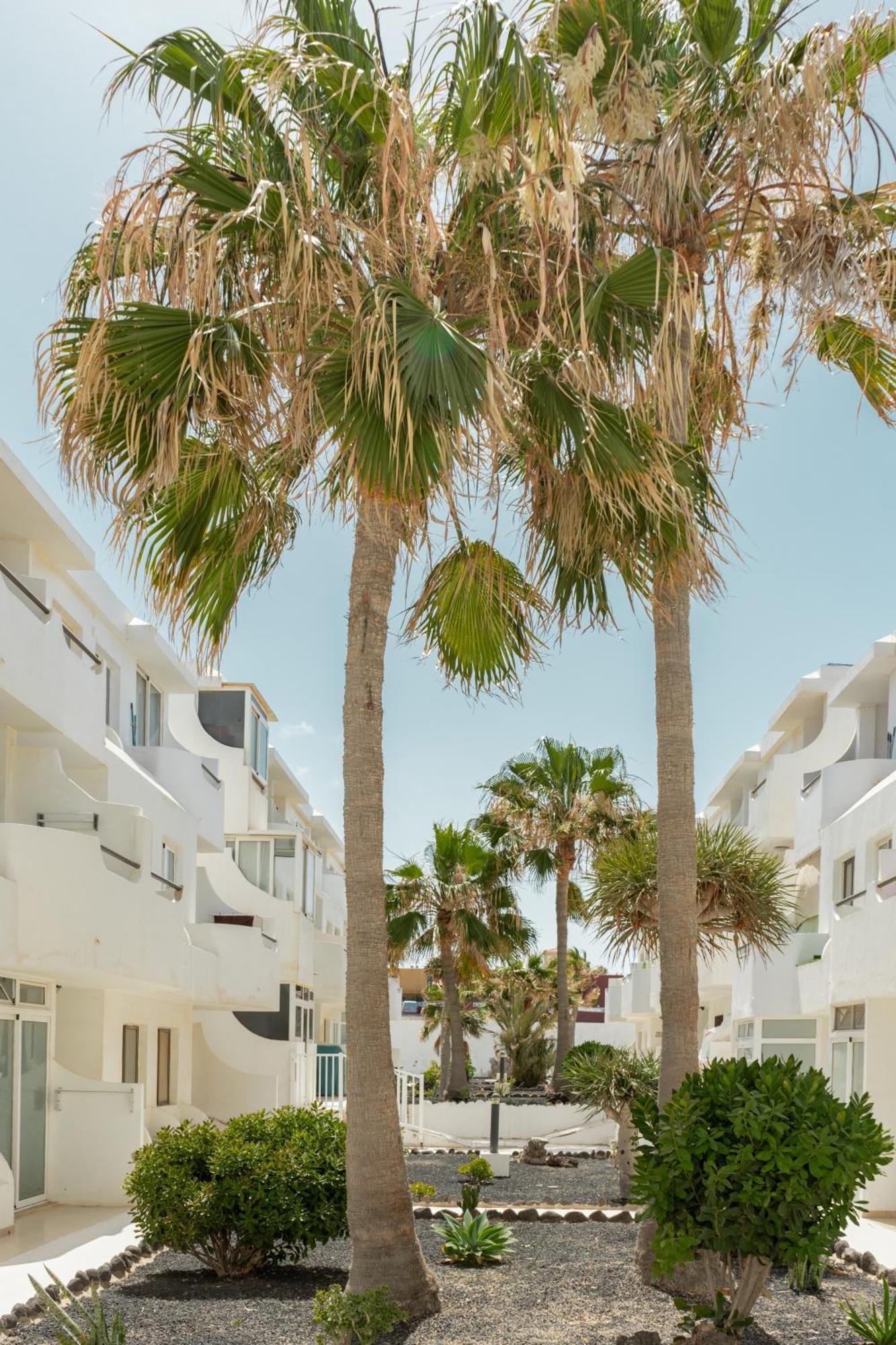 Apartmán Casa Maja Costa De Antigua Exteriér fotografie